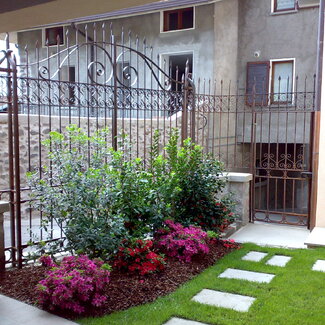 20090512582.jpg...